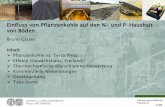 Einfluss von Pflanzenkohle auf den N- und P-Haushalt von …€¦ · Pflanzenkohle-Feldversuche in Europa 9/28 Mengeneffekt (Petershagen, Brandenburg) Kompostierung (Bayreuth) Regionales