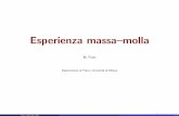 Esperienza massa{molla - Home INFN Milanofanti/Lab-Fisica-1/Public/fanti_slides_molle.pdf · Il sistema massa{molla Il sistema e costituito da una molla appesa ad un vincolo, cui
