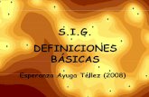 S.I.G. DEFINICIONES BÁSICAS - OCW UPMocw.upm.es/proyectos-de-ingenieria/sistemas-de-informacion... · S.I.G. DEFINICIONES BÁSICAS Los Sistemas de Información Geográfica (SIG)