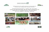 Caracterización y plan de acción para el desarrollo de la agrocadena de ... · Caracterización y plan de acción para el desarrollo de la agrocadena de Raíces y Tubérculos Tropicales