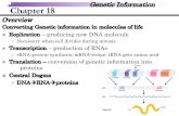 Genetic Information Chapter 18 - Glendale Community …san2159818/Chapter 18 Slides.pdf · DNA Recombination –principle source of genetic variations ... §General recombination