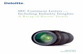 SEC Comment Letters — Including Industry Insightsdeloitte.wsj.com/riskandcompliance/files/2014/12/Update_12-04_14...iii SEC Comment Letters — Including Industry Insights Contents