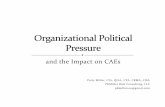 and the Impact on CAEs · 2016-05-11 · and the Impact on CAEs Patty Miller, CIA, QIAL, CPA ... reporting issues 8 . 9 ... Good corporate governance critical ...