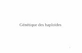 Génétique des haploïdes - aurelien.chateigner.free.fraurelien.chateigner.free.fr/- genetique -/6-genetique des haploides... · 3 L’analyse de tétrades • L’analyse de tétrade
