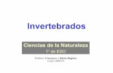 03 Invertebrates esp-ing - Cniesrc's Blog | Un blog con ... · . CNIDARIOS (2): CARACTERÍSTICAS • Algunos de ellos pueden flotar (medusas ...