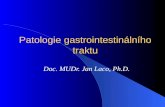 Gastrointestinální trakt - Fakultní nemocnice Hradec Králové · PPT file · Web viewPatologie gastrointestinálního traktu Doc. MUDr. Jan Laco, Ph.D. Obstrukce střeva 2. Intususcepce