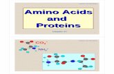 Organic Lecture Series Amino Acids and Proteins - gchemcolapret.cm.utexas.edu/courses/Chapter 27.pdf · Amino Acids and Proteins ... CO2-Organic Lecture Series 3 Amino AcidsAmino