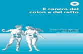 Il cancro del colon e del retto – Un'informazioneassets.krebsliga.ch/downloads/3063.pdf · Il cancro del colon e del retto 3 Sommario Editoriale 5 Che cos’è il cancro? 6 Il cancro
