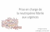 Prise en charge de la neutropénie fébrile aux urgencesafiu.be/wp-content/uploads/2017/03/NF-urgences.pdf · Prise en charge de la neutropénie fébrile aux urgences Dr. Nguyen Jasmine