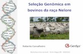 Seleção Genômica em bovinos da raça Nelore - labegen.orglabegen.org/menu/principal/arquivos_palestras/Carvalheiro Selecao... · Índice final ~ 0,45 < 1% Touro provado ... ca
