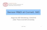 Sensor R&D at Cornell, SiD€¢Can get commercial software license at reasonable price. 7 Simulation of sensors Tool: Silvaco TCAD package (athena, devedit3d, atlas) • Input: Process