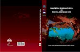 BIOGENIC FORMATIONS IN - RAC SPA€¦ · Lecture: LITTERAE® P ... Biogenic formations in the Slovenian sea / Lovrenc Lipej, Martina Orlando-Bonaca, ... biogenic formations for centuries,