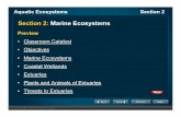 Section 2: Marine Ecosystems - Eagle Mountain-Saginaw ... · Section 2: Marine Ecosystems ... Aquatic Ecosystems Section 2 Plants and ... • Rocky shores have many more plants and