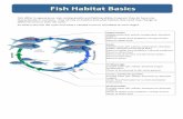 Fish Habitat Basics · characteristic in common ‐ they all rely on habitat and what ... (microscopic animals and plants), ... It is important to remember that our aquatic ...