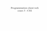 Programmation client web cours 5 : CSSdeptinfo.unice.fr/~renevier/ancien/L2/cours5/cours5-css.pdf · Un document HTML peut contenir des liens vers les autres documents HTML ou les
