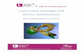 Plaquette Licence Mathématiques 2014-2015 A4sup.univ-lille1.fr/digitalAssets/41/...matiques-2014-2015-A4.p_df.pdf · Licence Sciences, Technologies, Santé Mention Mathématiques