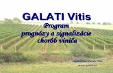 Program prognózy a signalizácie chorôb viniča - GALATI · Program prognózy a signalizácie väčšinou sú súčasťou meteostaníc: - AMET /CZ - s programom GALATI Vitis - Agroexpert