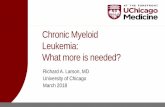 Chronic Myeloid Leukemia: What more is needed? · Walker et al. Blood. 2013;122(17):3034-3044 ... 4020 Inecalcitol, a Novel Adjuvant Therapy Inhibiting CML Stem Cells . Venetoclax: