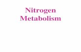 Nitrogen Metabolism - P.G.G.C.G.-11, E-Content …cms.gcg11.ac.in/attachments/article/62/Nitrogen fixation.pdf · and highway-automobile tunnels. How does ... nitrous oxide Denitrification