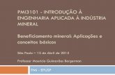 PMI3101 - INTRODUÇÃO À ENGENHARIA APLICADA À … · 2015-05-04 · Teoria e prática do tratamento de minérios: ... minérios abundantes, jazidas superficiais e de grande volume: