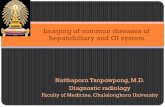 Imaging of common diseases of hepatobiliary and GI …parasitology.md.chula.ac.th/en/images/imagingGI.pdf · Imaging of common diseases of hepatobiliary and GI system. ... upper abdomen