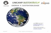 ENERGIA E SUSTENTABILIDADE - nipe.unicamp.br · ENERGIA E SUSTENTABILIDADE 09/06/2015 TOMAZ - ENERGIA e SUSTENTABILIDADE 10 Energia nuclearNuclear Energia Solar Energia …