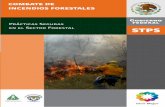 COMBATE DE INCENDIOS FORESTALES - stps.gob.mxstps.gob.mx/.../prac_chap/PS-Combate-de-Incendios-Forestales.pdf · incendio, el combate de incendios directo e indirecto, la liquidación