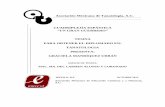 Asociación Mexicana de Tanatología, A.C. CUADRIPLEJÍA ...tanatologia-amtac.com/descargas/tesinas/133 Cuadriplejia espastica.pdf · neuronal también se toman ... el grado de retraso
