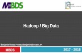 Hadoop / Big Data - cours.tokidev.frcours.tokidev.fr/bigdata/cours/mbds_big_data_hadoop_2017_2018... · 8-3 MySQL applier for Hadoop Dans le cas de MySQL, le connecteur est le MySQL