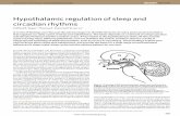 Hypothalamic regulation of sleep and circadian rhythmsmeds371s.uchc.edu/Saper etal 2005 hypothalamus circadian rhythms.pdf · NREM sleep and stopping altogether during REM sleep 13–15.