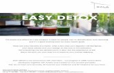 salahospitality.comsalahospitality.com/.../19/2016/08/Detox-Package-Brochure-email.pdf · Asian fruit Salad Apple Dragon fruit Apple Pomelo Watermelon 10:00 ...