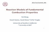 Reaction Models of Combustion Properties - … · Reaction Models of Fundamental ... , CO, CH 4, C 2 H 6, C 2 H 4, C 2 H 2 ... 18 Potential Causes for the Problems