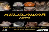 KELELAWAR - seabcru.org · Inggris : 16 spesies . ... Jawaban: Salah! Hanya 3 jenis kelelawar mengkonsumsi darah, dan 1 jenis mengkonsumsi darah ... Slide 1 Author: jj