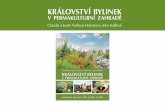 KRÁLOVSTVÍ BYLINEK v permakulturní zahradě - kosmas.cz · Permakultura podle Seppa holzera“) • Jens Kalkhof již mnoho let zavádí holzerovu permakulturu ... Sepp holzer.