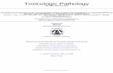 Toxicologic Pathology - LE CORPlecorpdocs.le-corp.net/wp-content/uploads/2012/04/ALL ARTICLES/LONG...Society of Toxicologic Pathology Additional services and information for Toxicologic