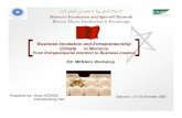 Business Incubation and Entrepreneurship Climate in … · Business Incubation and Entrepreneurship Climate in Morocco ... PRESENTATION PLANPRESENTATION PLAN ... (business plan)