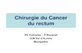 Chirurgie du Cancer du rectum - download2.cerimes.frdownload2.cerimes.fr/canalu/documents/cutms/sfjro.canc.rologie... · rectum et limité circonférentiellement par le fascia recti.