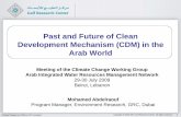 Past and Future of Clean Development Mechanism (CDM) …css.escwa.org.lb/SDPD/1879/3.pdf · Clean Development Mechanism ... Al-Shaheen Oil Field Gas Recovery and ... Fertilizer Co.