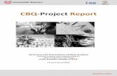 CBQ Project Report - uni-bremen.de Final...Apart from the project’s main, general aim to provide an easy-to-use “VET controlling sys- tem” for employers, it was also intended