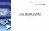 Operational Excellence in the Process Industries - Plant … · 2013-09-08 · Operational Excellence in the Process Industries: ... recipe management for batch operations will be