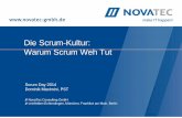 Die Scrum-Kultur: Warum Scrum Weh Tut - NovaTec GmbH · Scrum Day 2014 Dominik Maximini, PST NovaTec Consulting GmbH Leinfelden-Echterdingen, München, Frankfurt am Main, Berlin Die