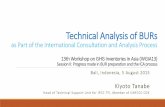 Technical Analysis of BURs - 国立環境研究所 · Technical Analysis of BURs as Part of the International Consultation and Analysis Process 13th Workshop on GHG Inventories in