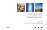 Installation of Submarine Gas Pipelines - epd.gov.hk · Installation of Submarine Gas Pipelines ... Feasibility Study and Detailed Design Environmental Impact Assessment – Executive