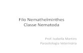 Filo Nemathelminthes Classe Nematoda fileFormas de contaminação • Ingestão de L3 • Ingestão do ovo larvado • Inalação do ovo • Via transplacentária • Via transmamária
