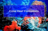 Coral Reef Formations - Virginia Institute of Marine Science to Coral Reefs... · •Hermatypic corals build reefs ... Reef formation •Fringing Reef •Barrier Reef ... -a reef