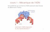cours 1 - Mécanique de l’ADN - lptmc.jussieu.fr · Application aux polymères Difﬁculté en 3D : générer une nouvelle conﬁguration sans" « casser » la chaîne 2 méthodes