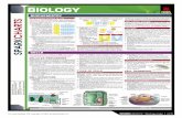 AP Biology Spark Chart - Kent School District€¦ · SPARKCHARTS™ Biology page 2 of 6 ...