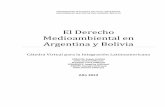 El Derecho Medioambiental en Argentina y Boliviabdigital.uncu.edu.ar/.../derechomedioambiental-boliviayargentina.pdf · Trabajo Final Cátedra Virtual para la ... Políticas ambientales