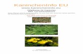 KaninchenInfo EU · 3 / 34 Giftpflanzen für Kaninchen Avocado (Persea gratissima): Bärenklau, Riesen- (Heracleum mantegazzianum): Bärlauch (Allium ursinum):