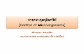 การควบคุมจุลินทรีย์ (control of Microorganisms) control 2556.pdf · ปัจจัยที่มีผลต่อการควบคุมจุลินทรีย์